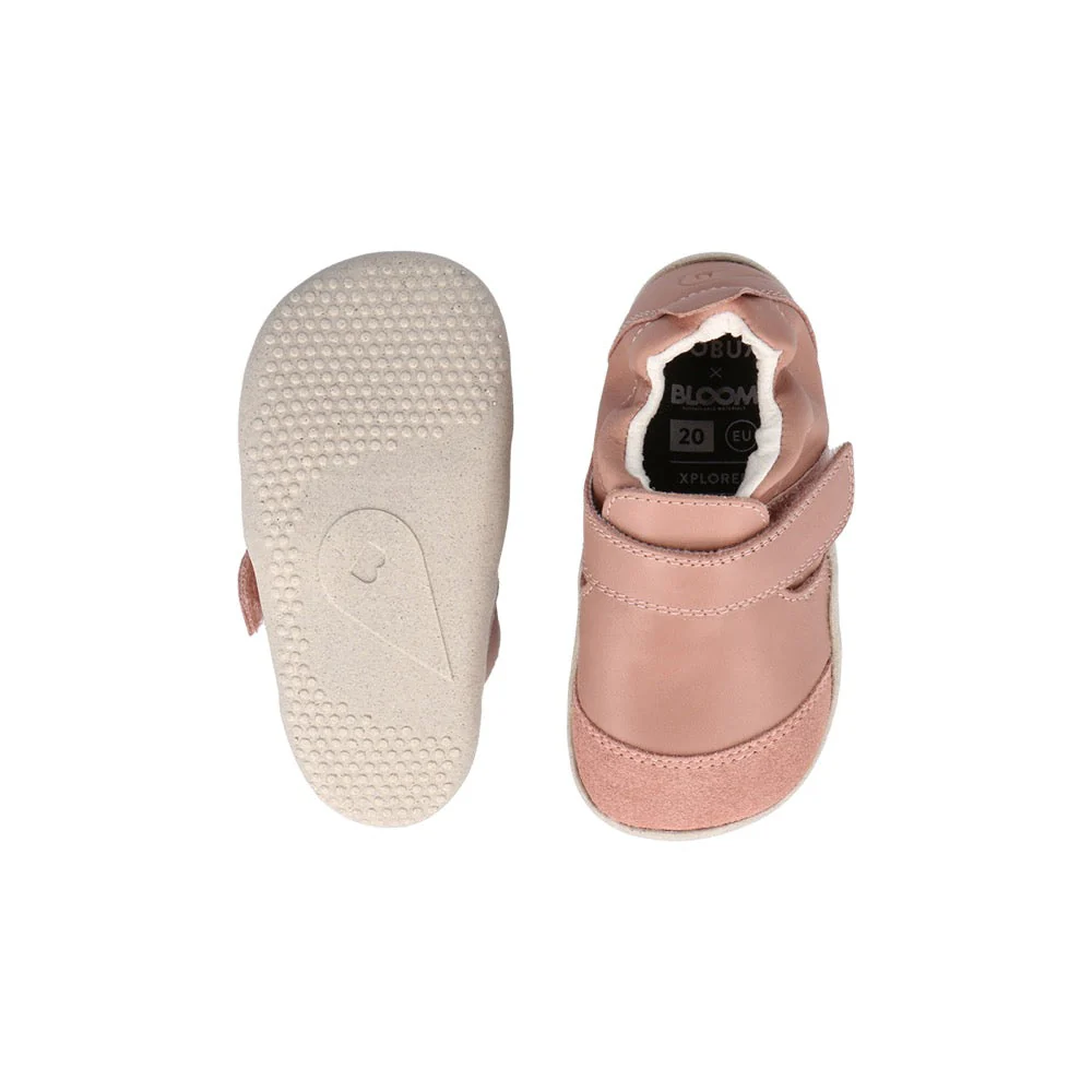 Xplorer Marvel Rose-Rose